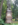 Alter Friedhof